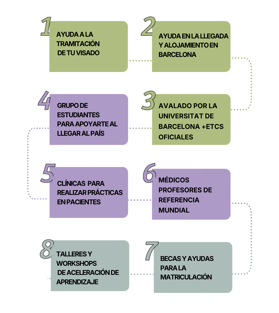 Timeline_latam_mobile timeline